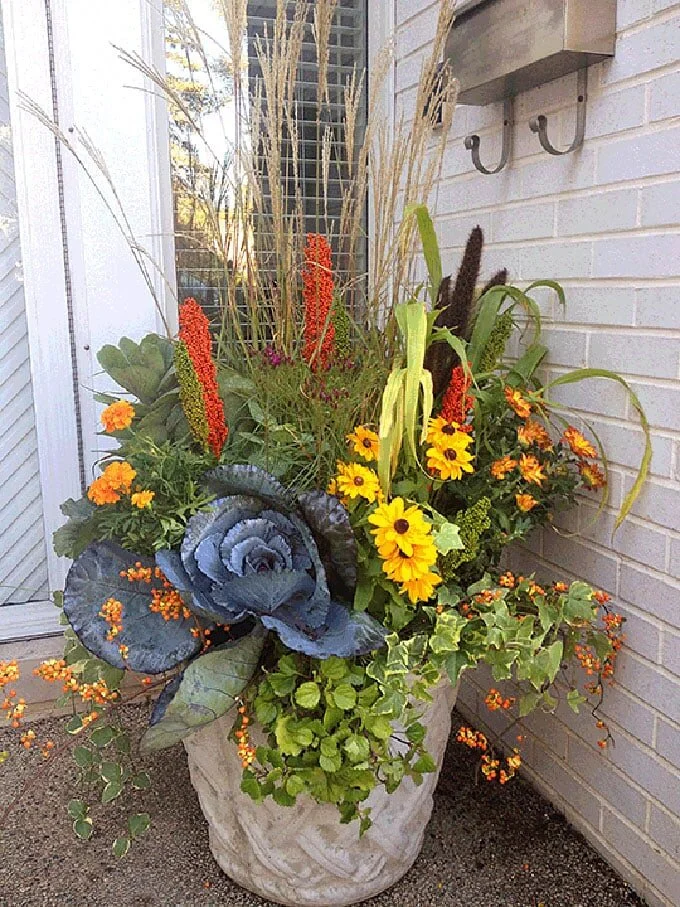 Fall in love with these fall container gardening ideas. — Reston Farm