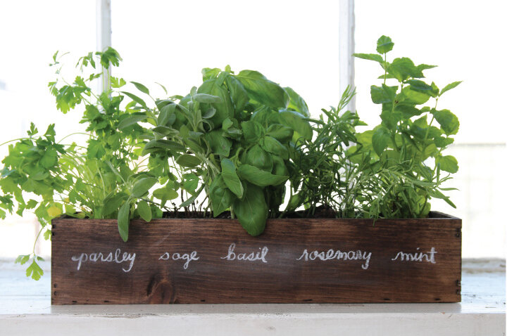 Growing An Indoor Kitchen Herb Garden, Can You Make An Indoor Herb Garden In The Winter