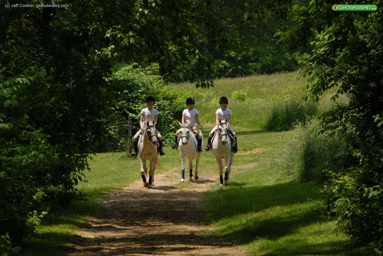 Tatum Park Horse Trails - Equestrian.jpeg