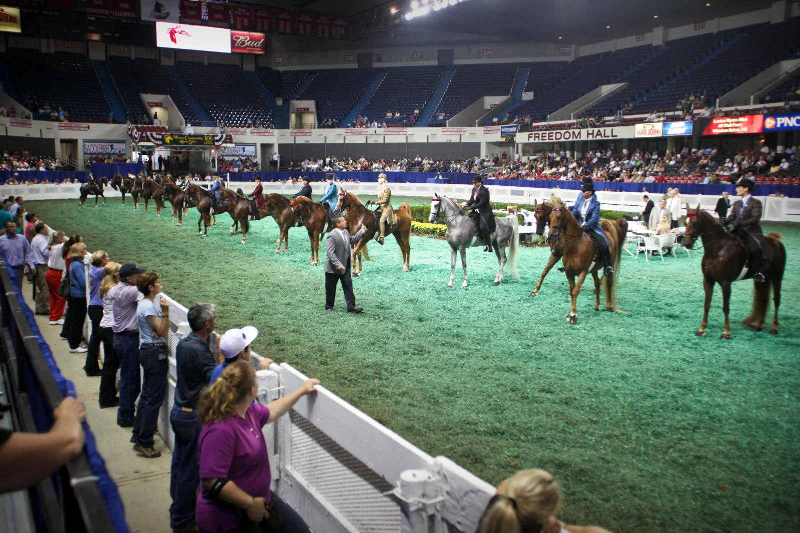 Saddlebred.jpg