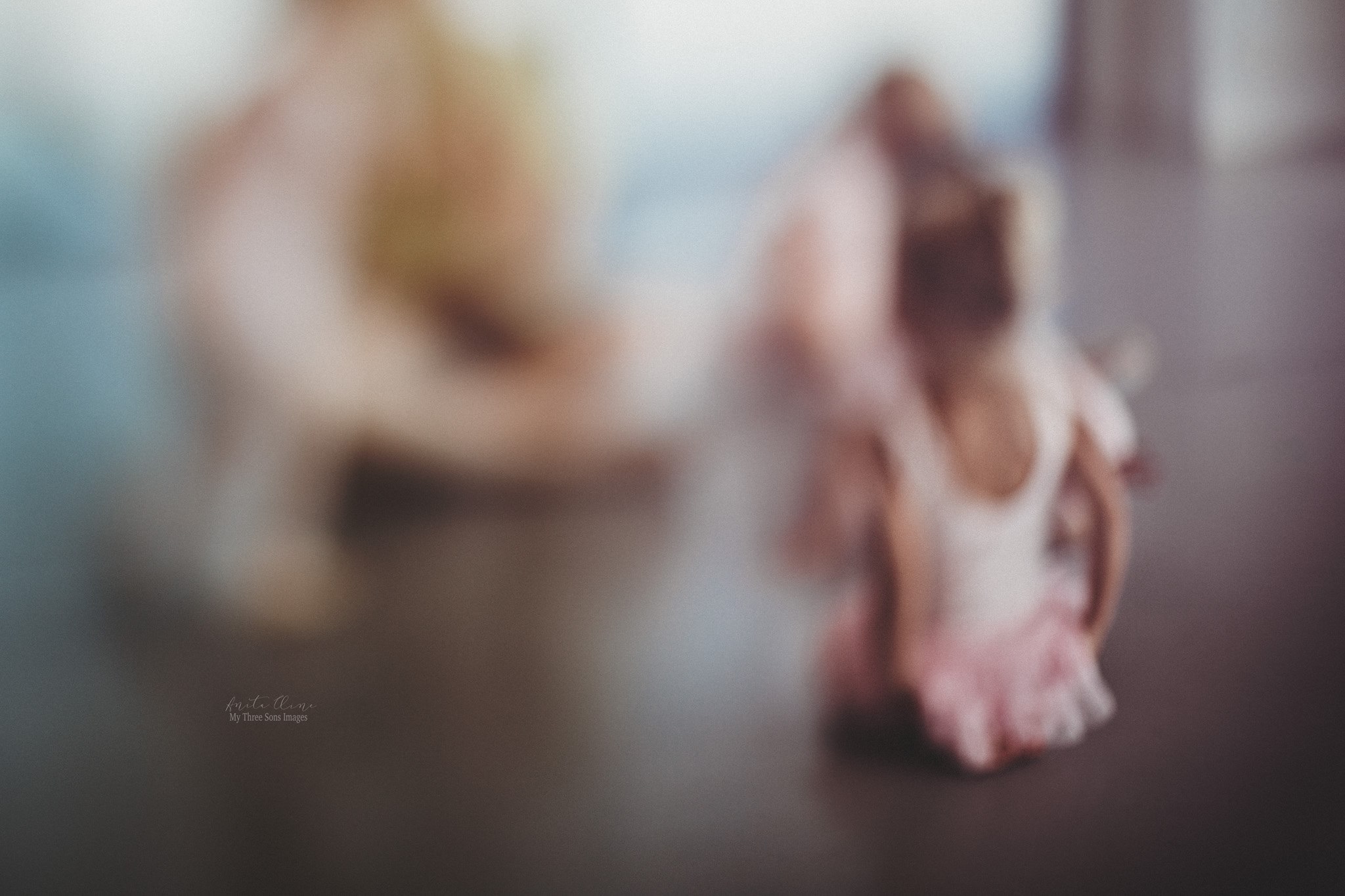 By Anita Cline