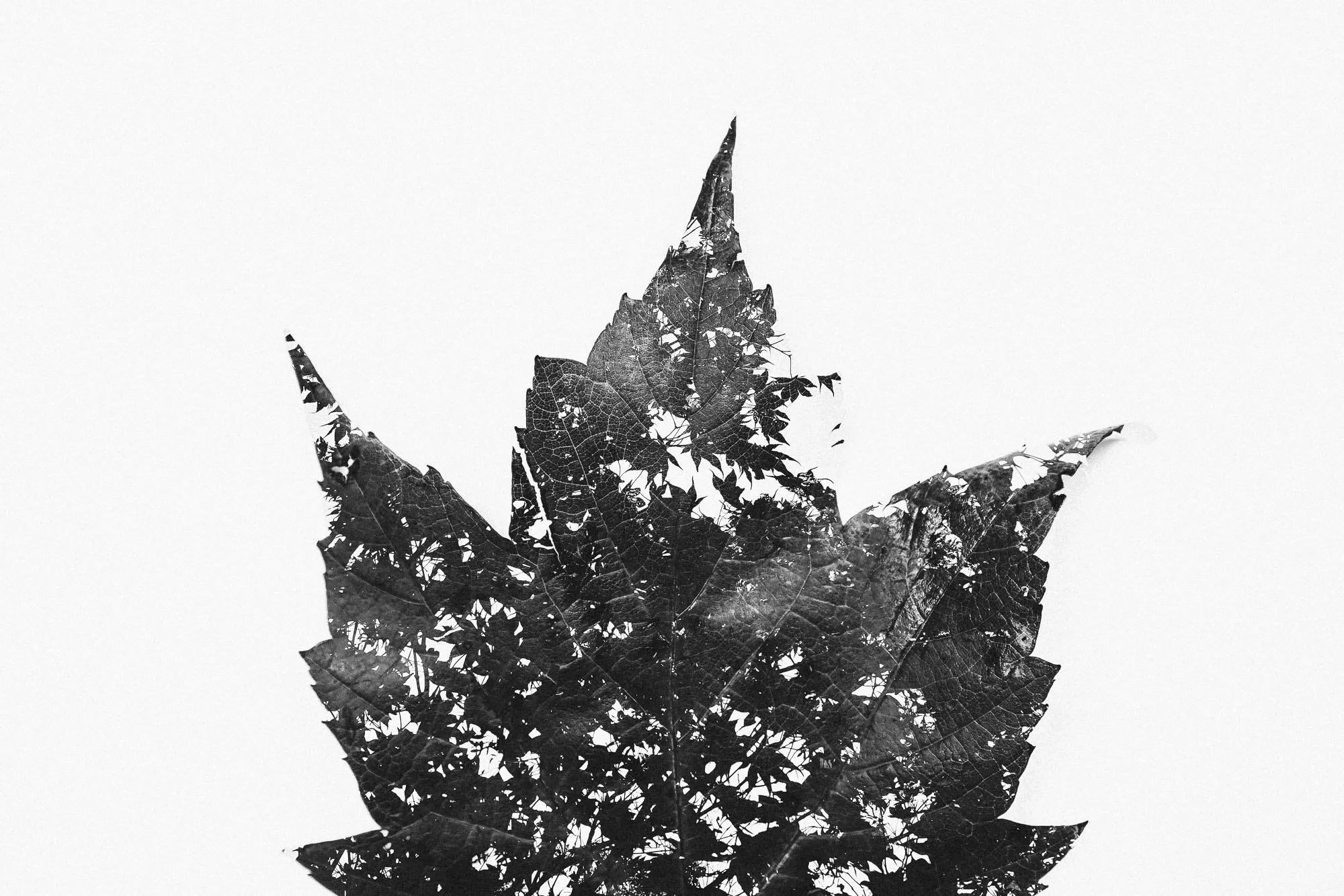 By Anny Hartvigson