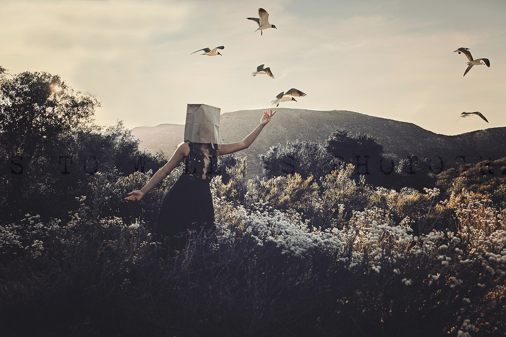 Roots_to_Willows_Photography_birdinflight.jpg