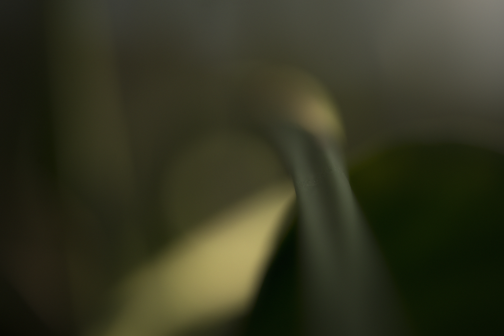 green.jpg