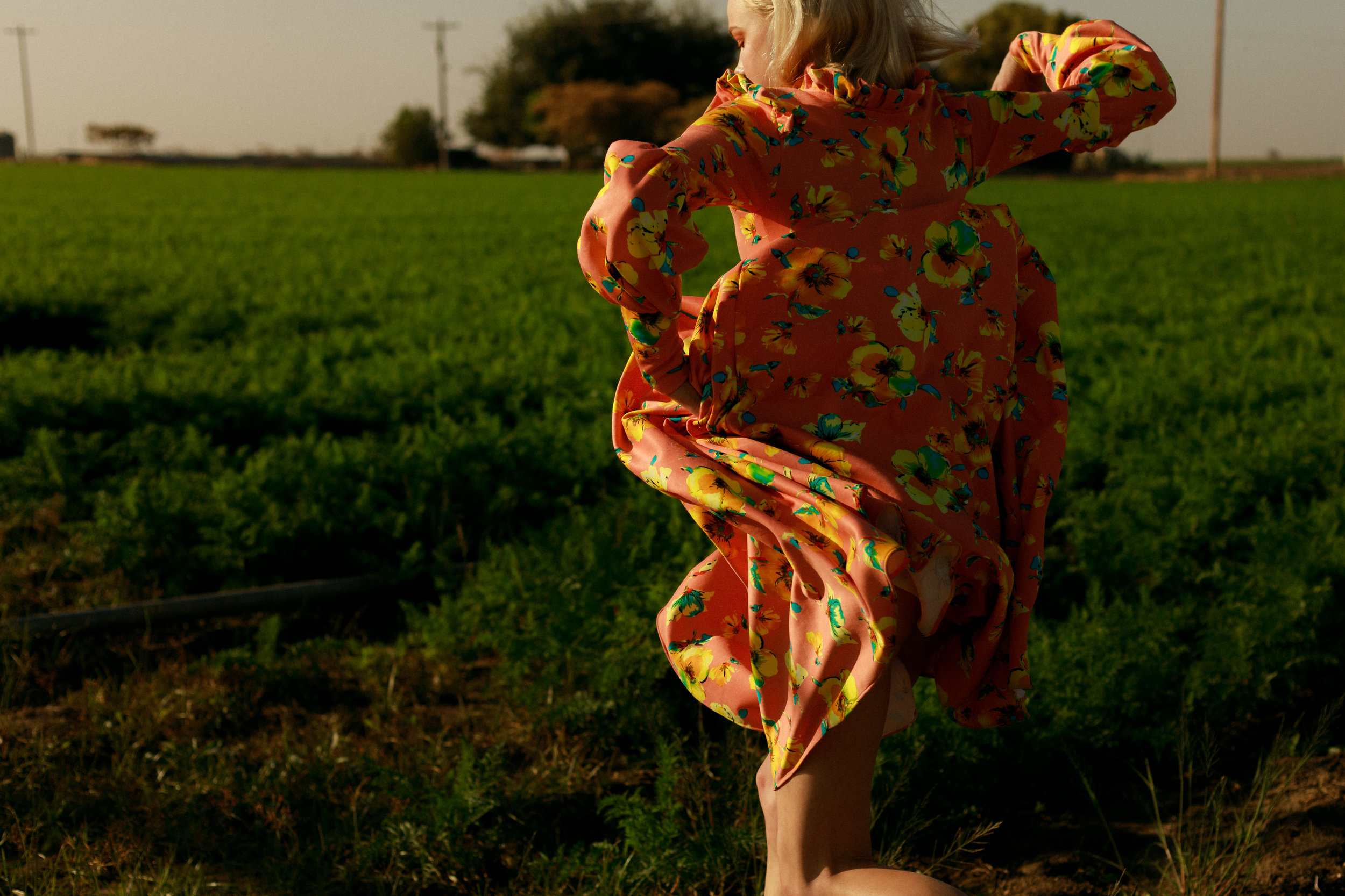4H6A9369-Edit.jpg