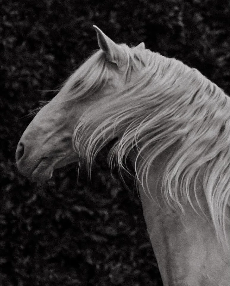 Unraveled Artist Feature | January 7th, 2026 