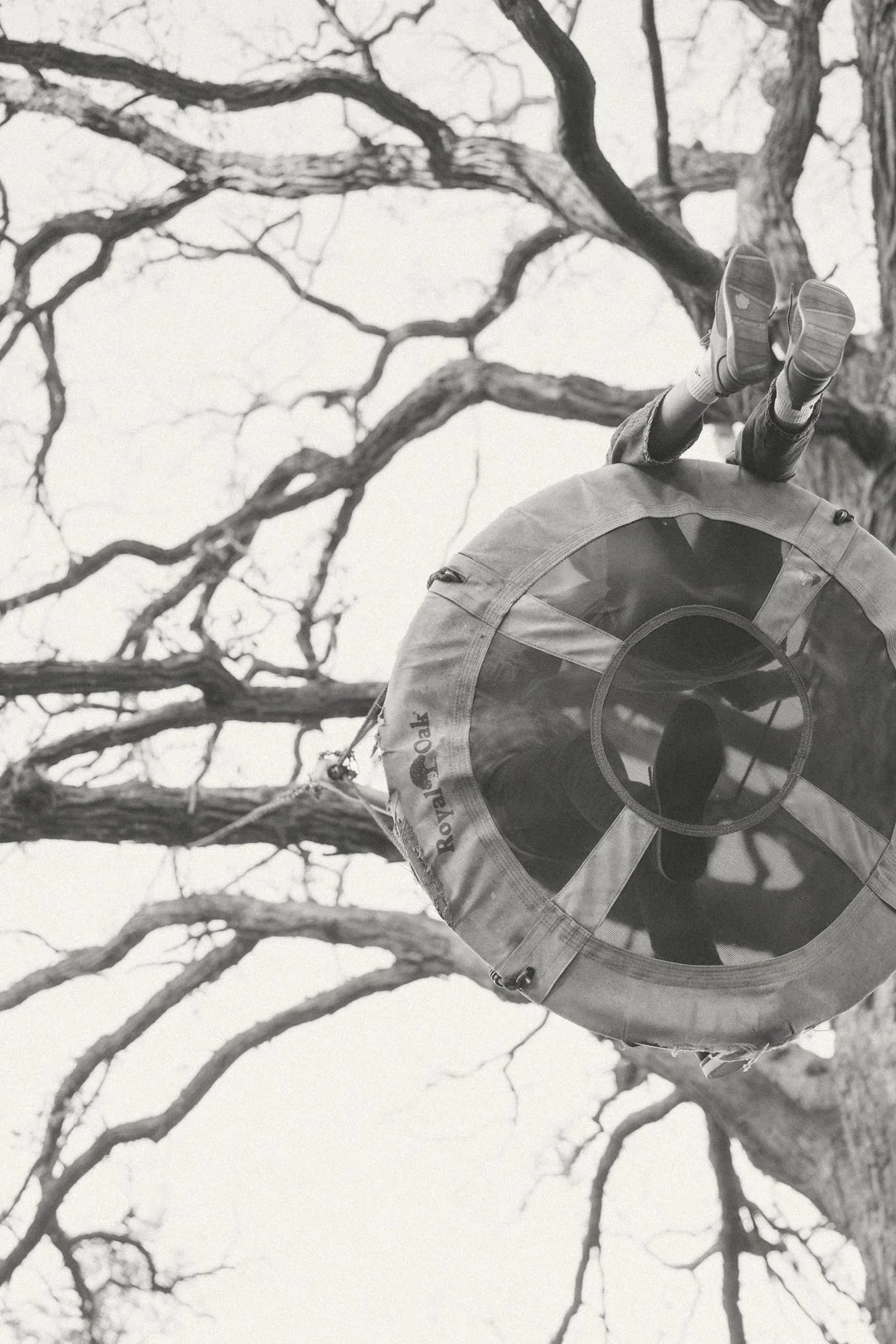 A person hanging upside down from a tree branch with a rescue or life-saving device, possibly a rescue ring, above their head.