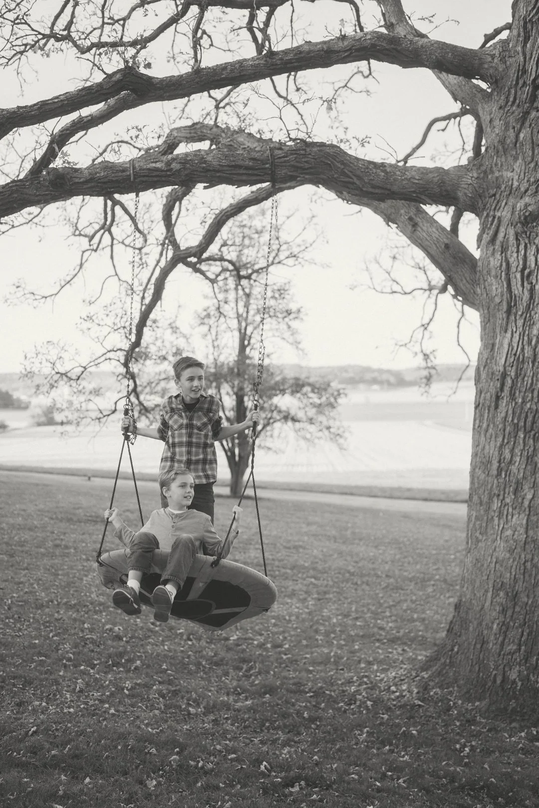 Two children playing on a swing set attached to a large tree in a park, with open fields and trees in the background.
