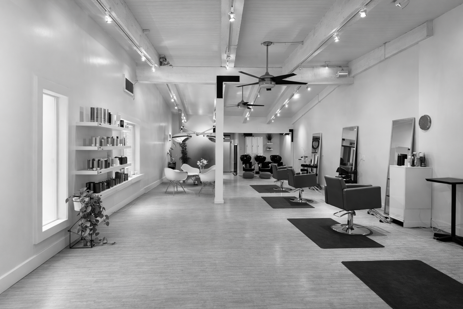 salon in b&w.png
