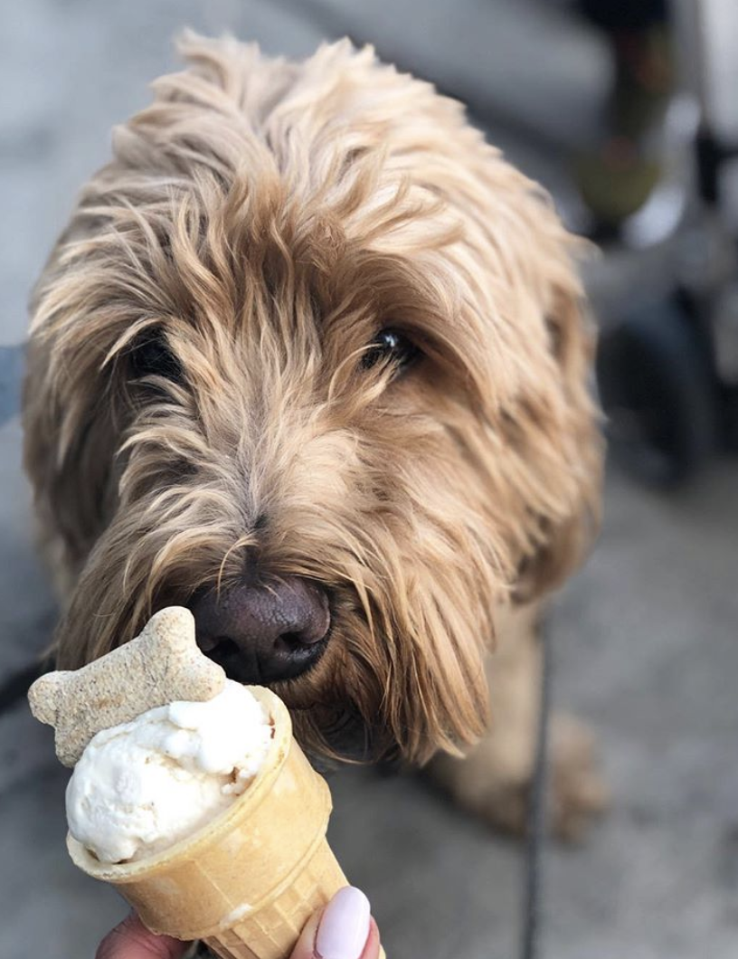 Screen Shot 2020-01-20 at 8.05.21 AM.png