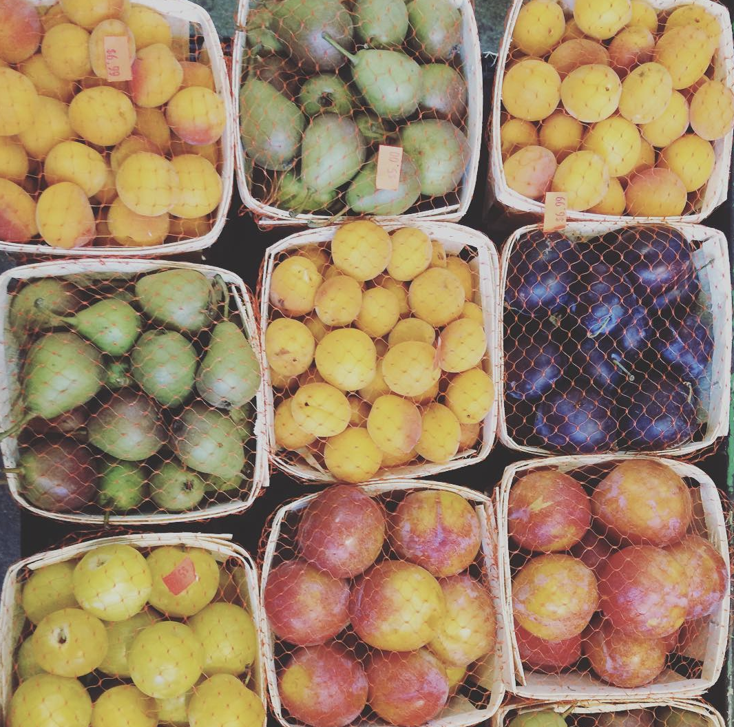 Screen Shot 2020-02-06 at 11.04.57 AM.png