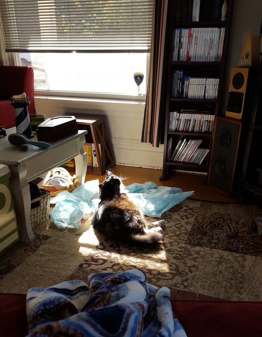 2015-11-22 10.53.30.jpeg