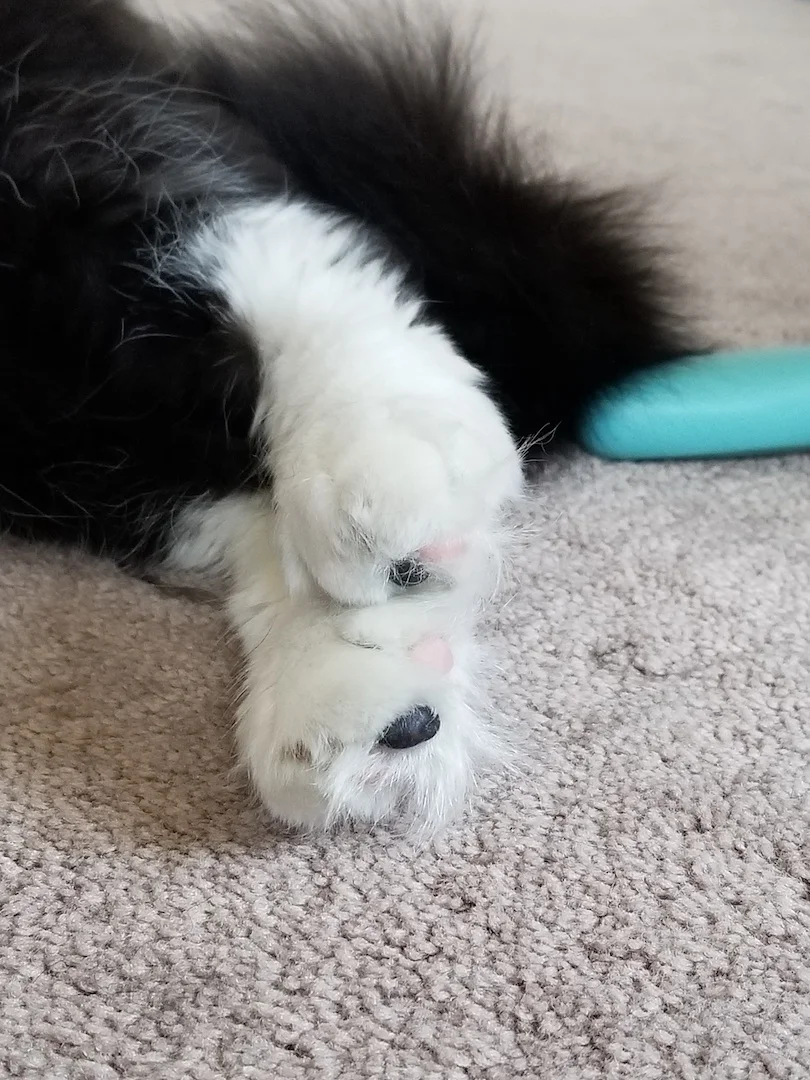 2017-06-16 07.54.20.jpeg