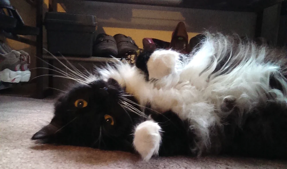 2014-05-08 19.24.43.jpeg