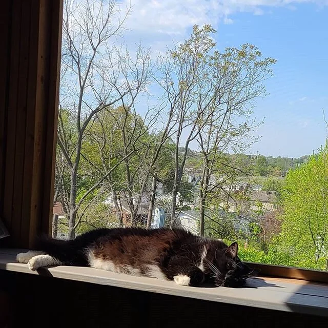 Sleepy boy. Blue sky. #topoftheworldma #lifewithdrexl