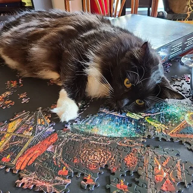 Puzzling 🧩 #lifewithdrexl