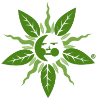 Panoramic Sun PMS 370C.png