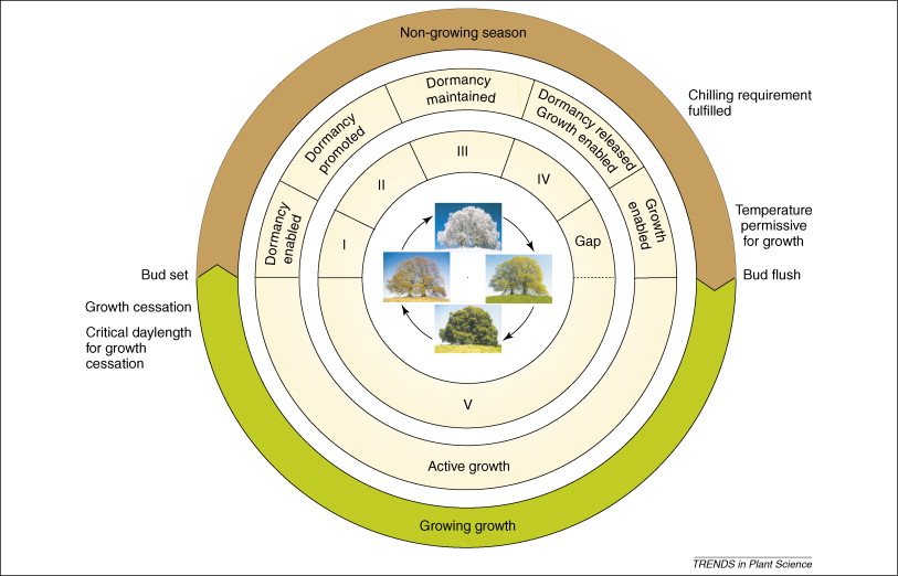 Image source: ScienceDirect.com