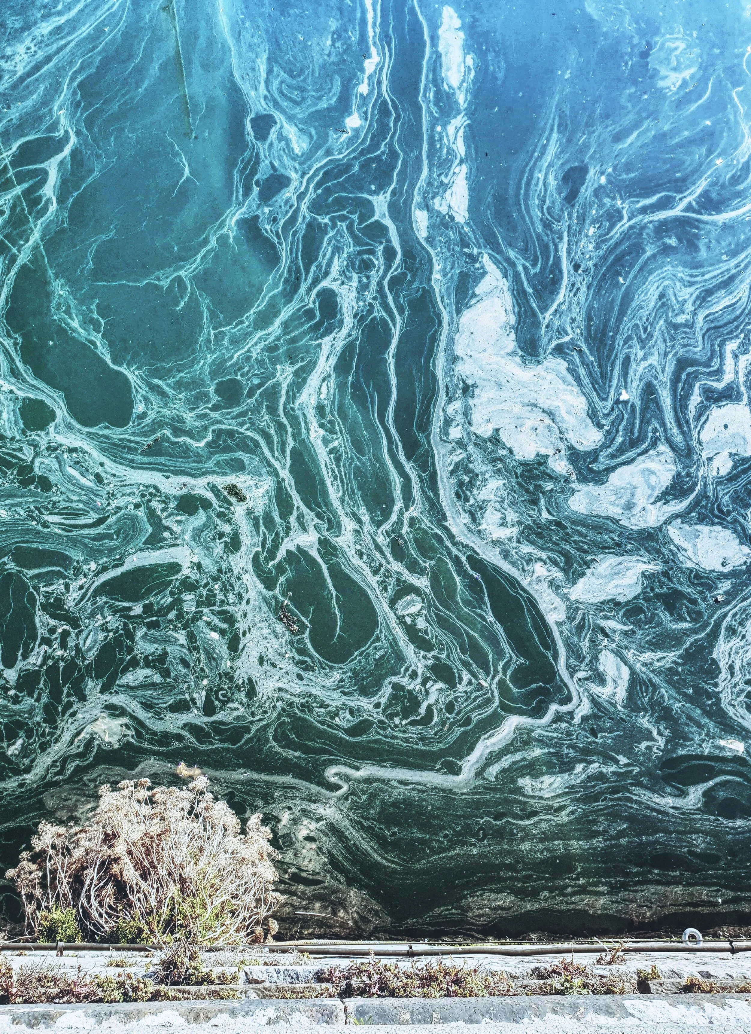 ABSTRACT AERIAL Ramsgate Harbour.jpg