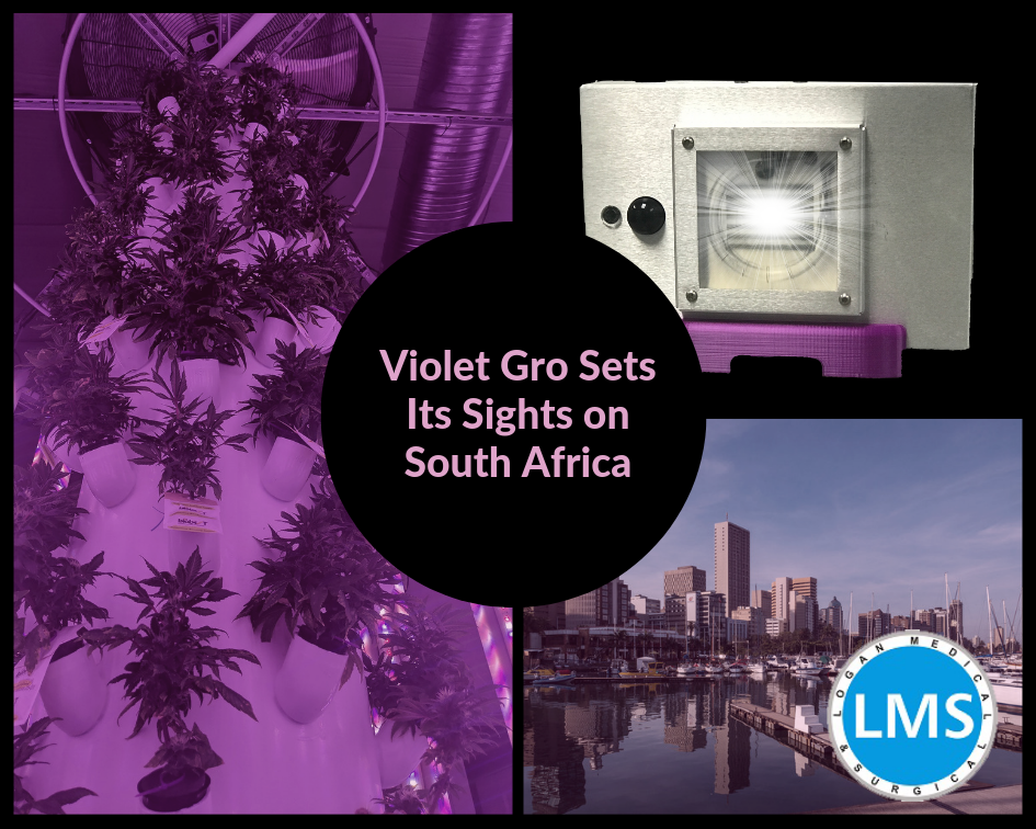 South Africa - Violet Gro.png