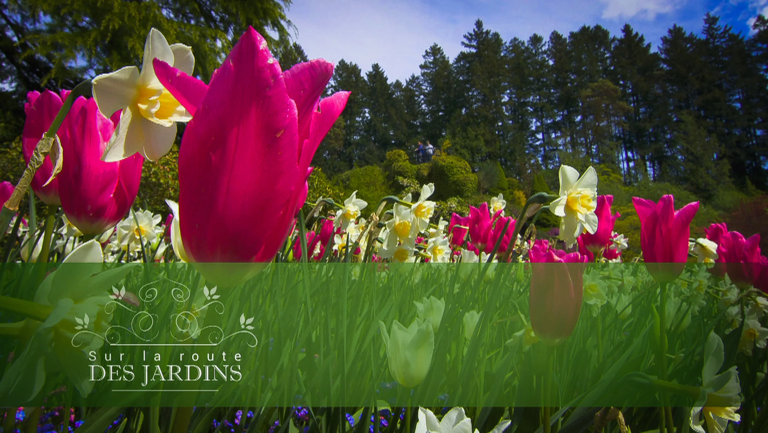 Jardins Screen shots-8.jpg