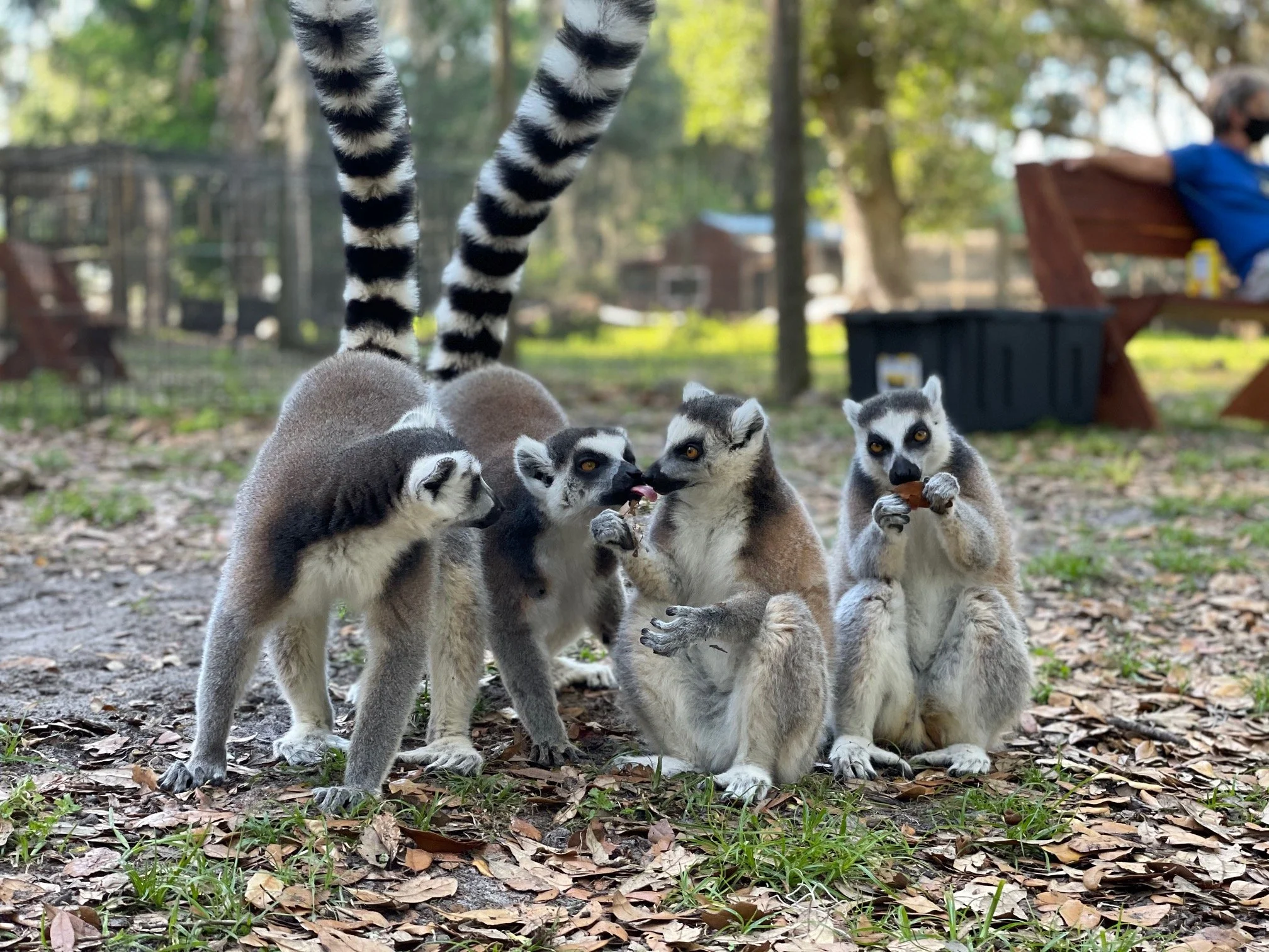 Tide for a Cause: Chase Sanctuary