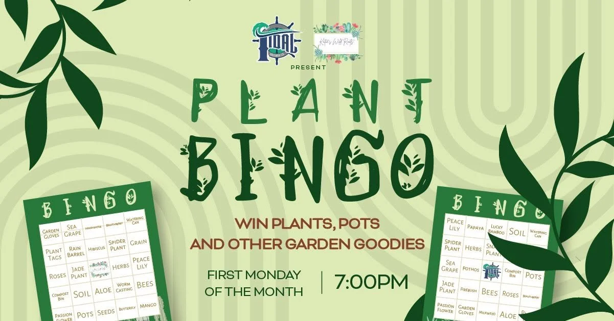 Plant Bingo with Katie's Wild Roots