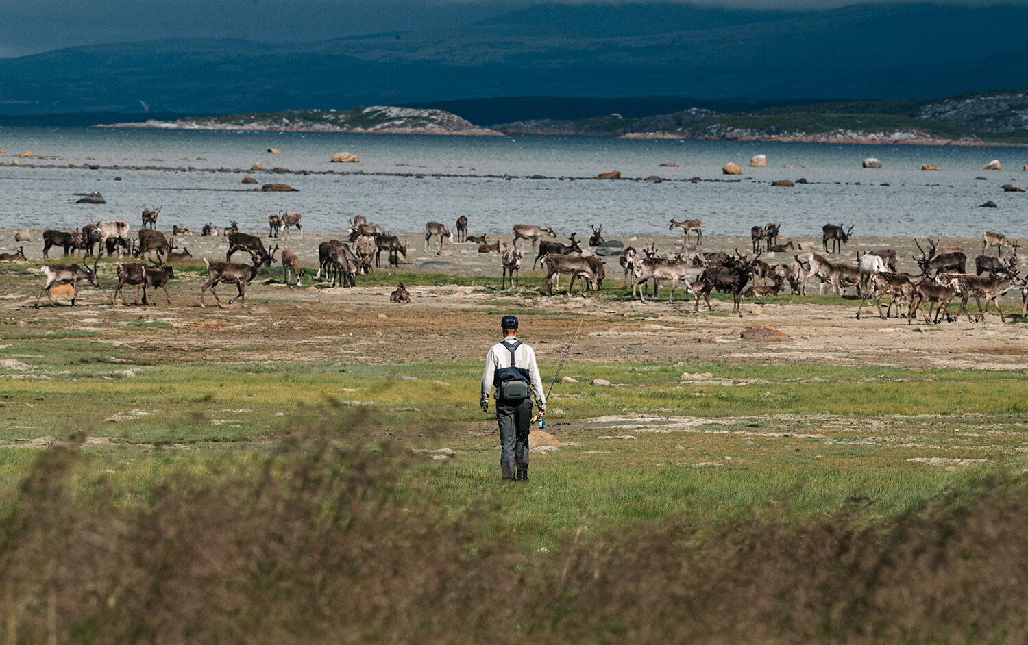 patagonia_22.jpg