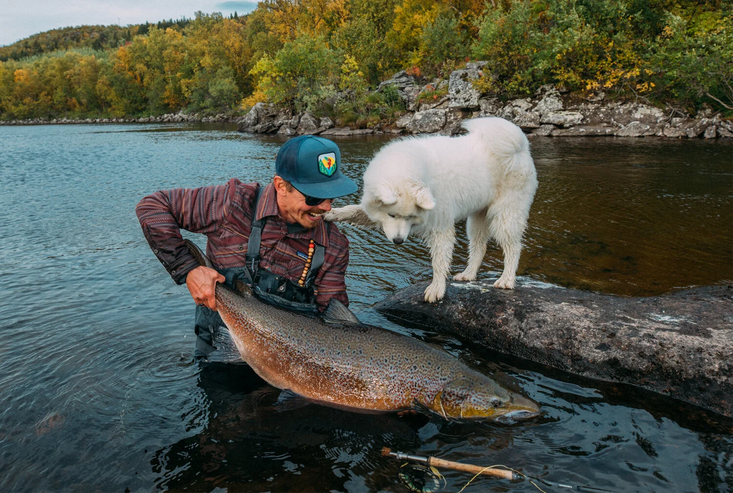 patagonia_up_7.jpg