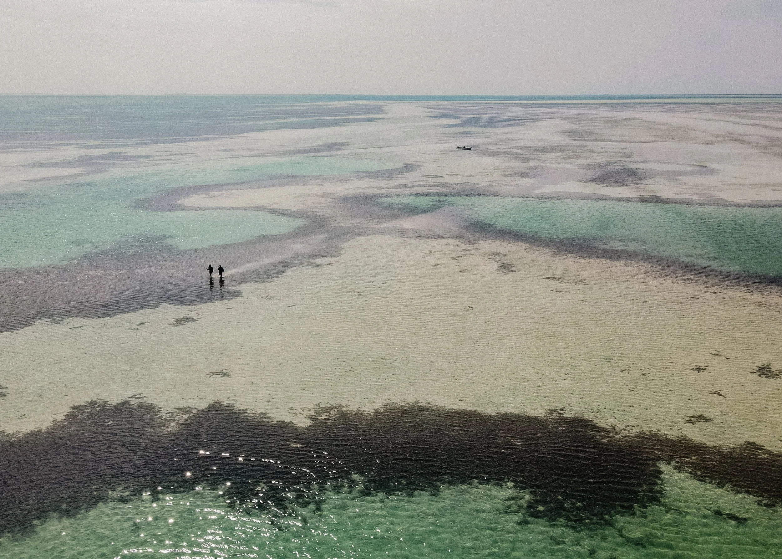 DJI_0367.jpg