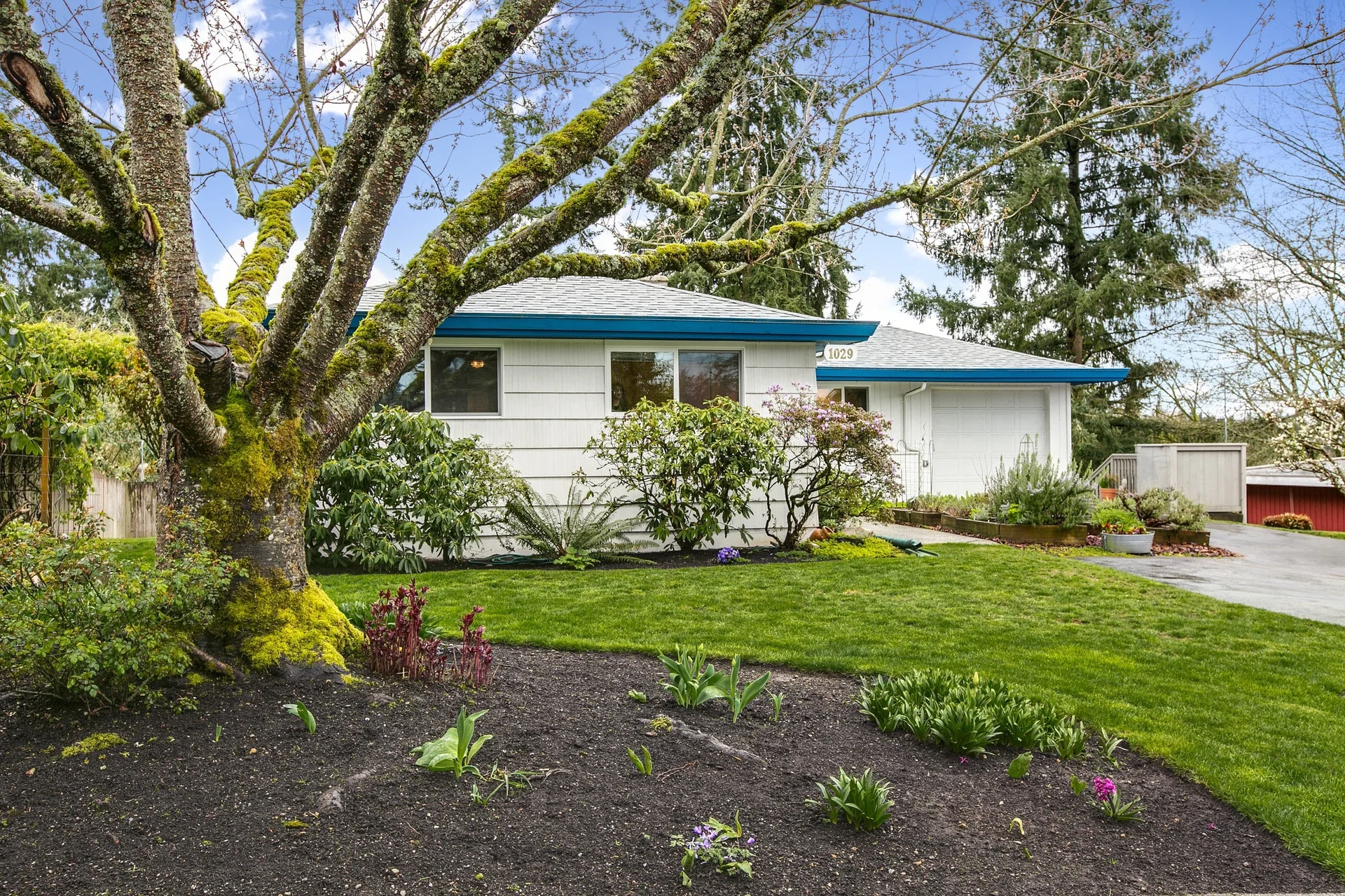 SOLD! Charming & Spacious Lake Hills Daylight Rambler for $760,000