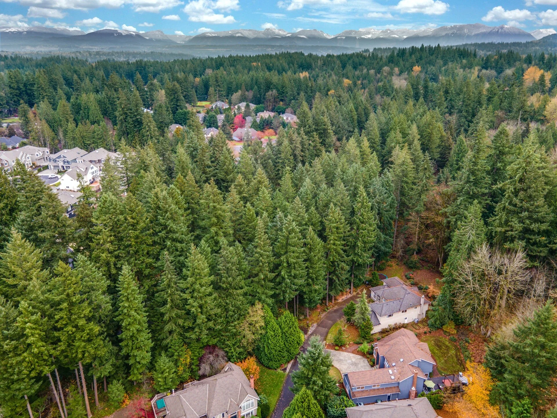 063-365953-DJI_0817_HDR.jpg