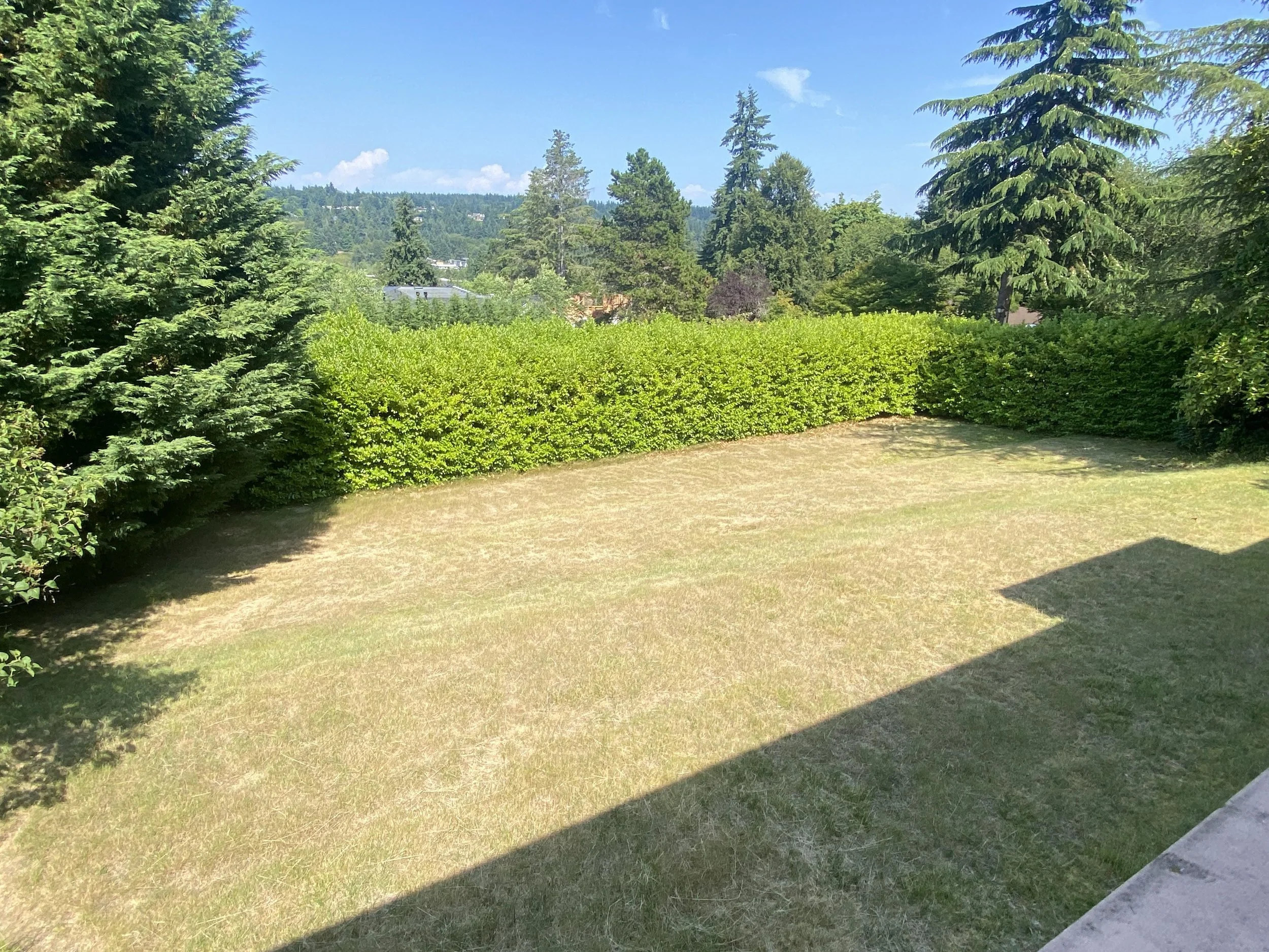 SMITH-BACKYARD VIEW.jpeg