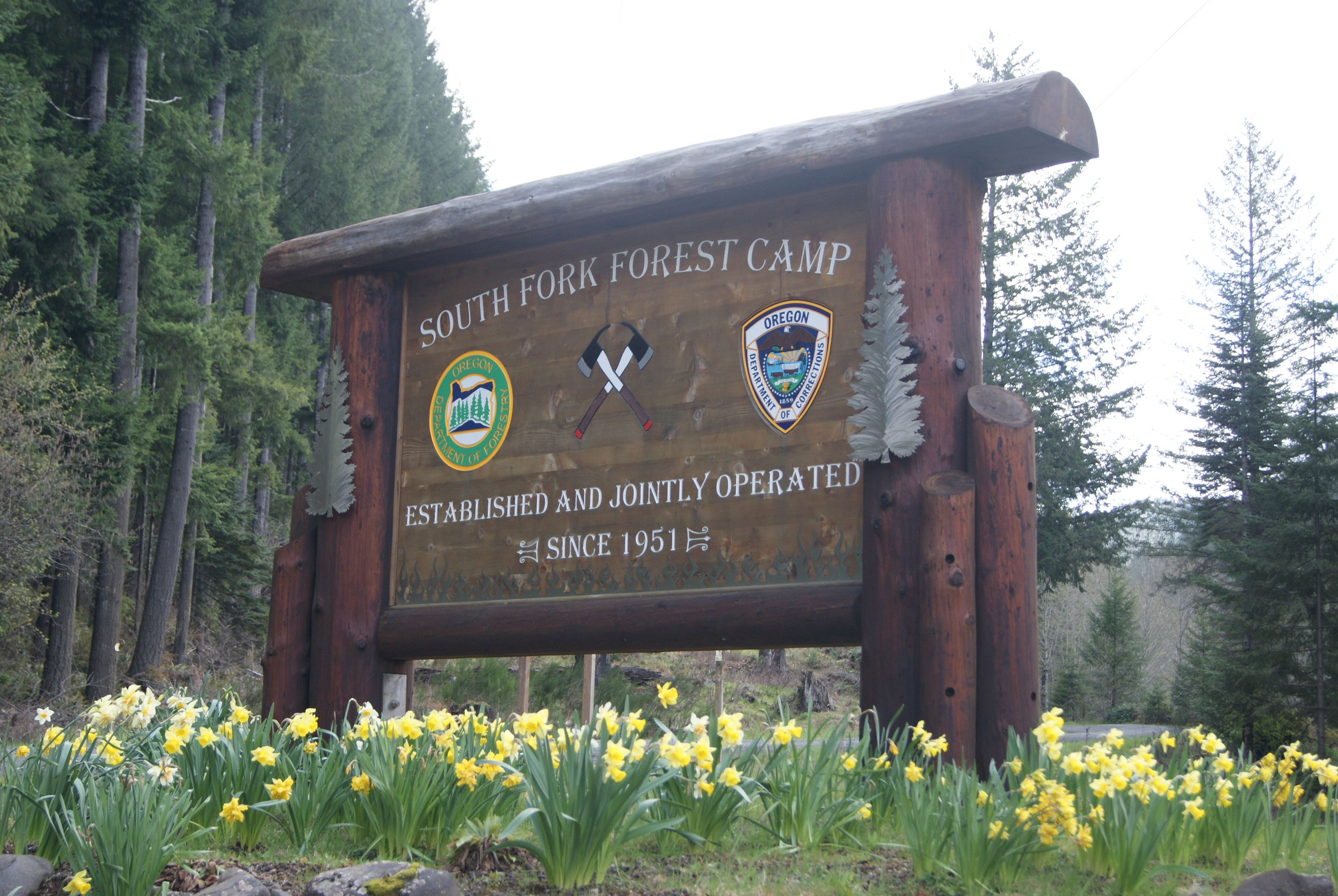FOLSOM50 South Fork Forest Camp