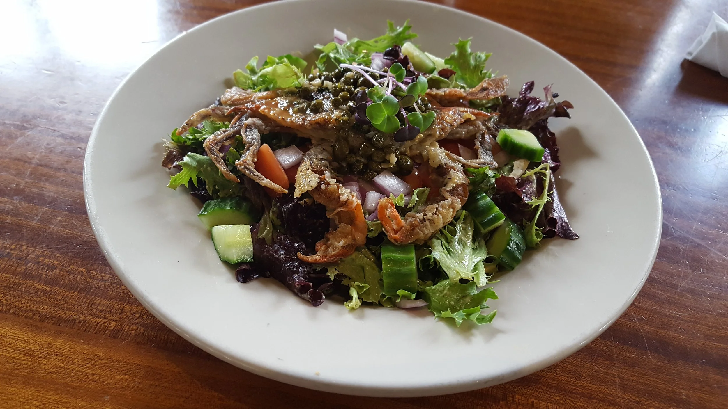 Dinner Specials for Tuesday