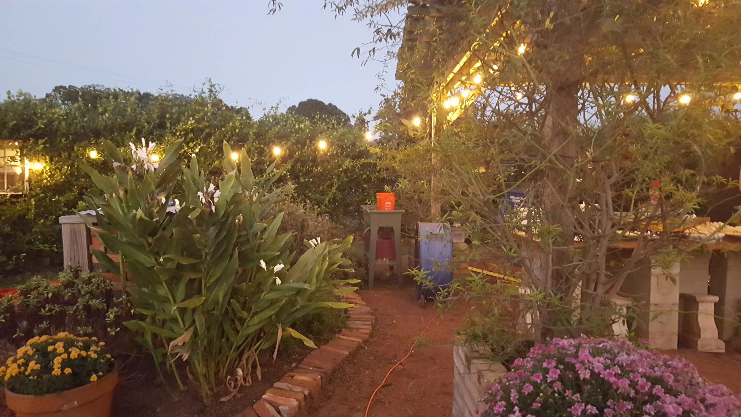 DINNER SPECIALS FOR FRIDAY