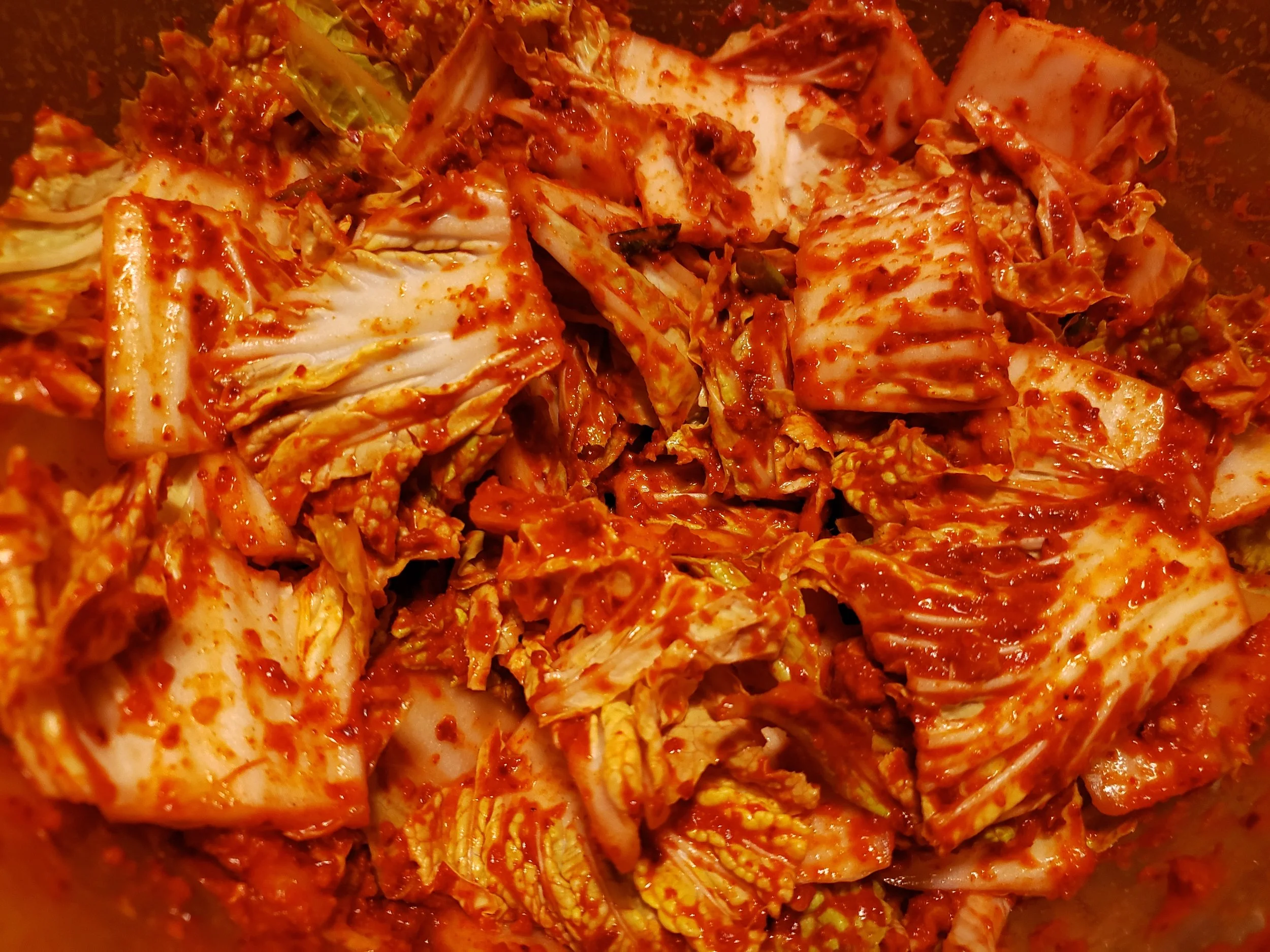 Dinner Specials For Monday