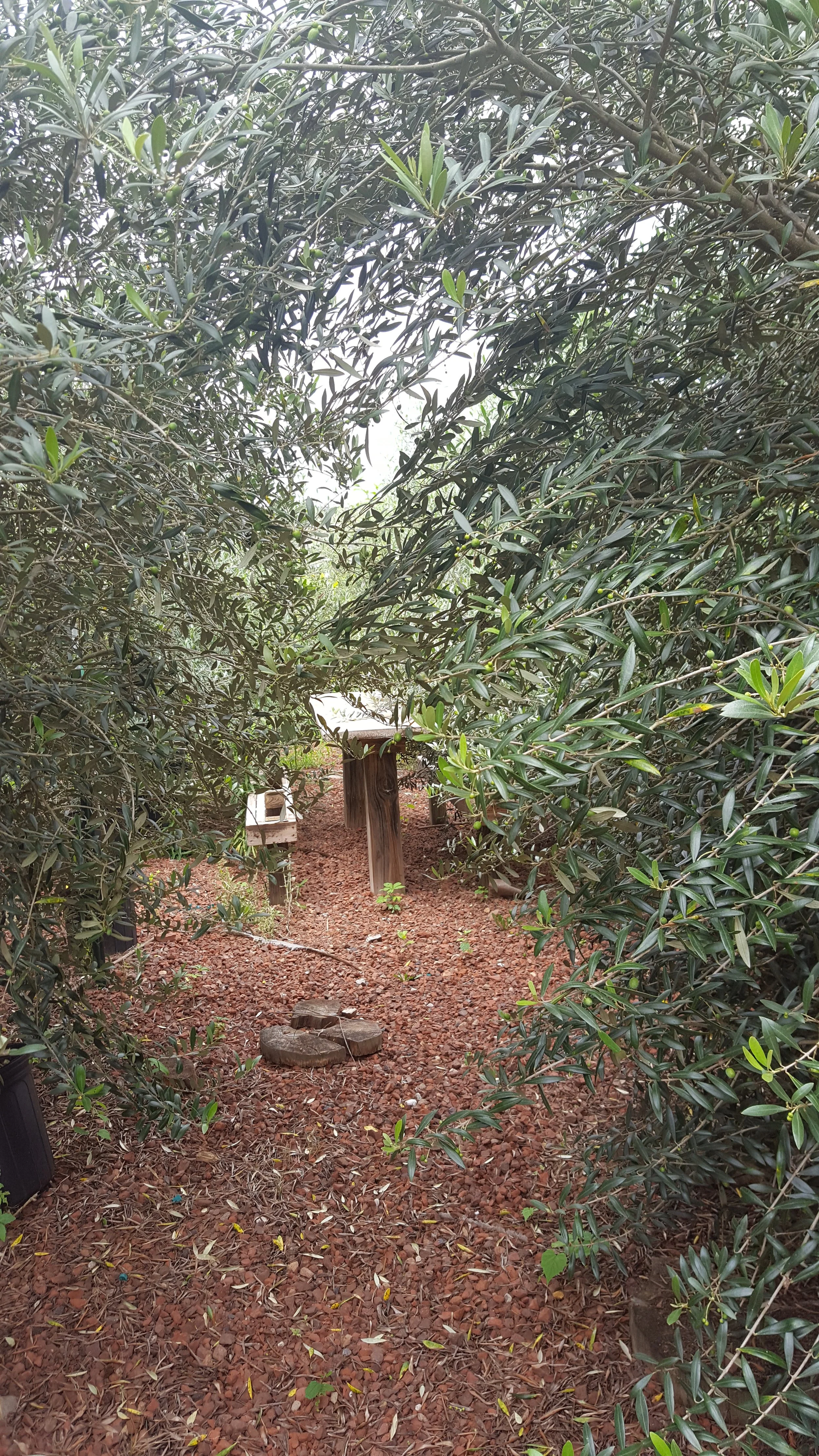 DINNER SPECIALS FOR FRIDAY