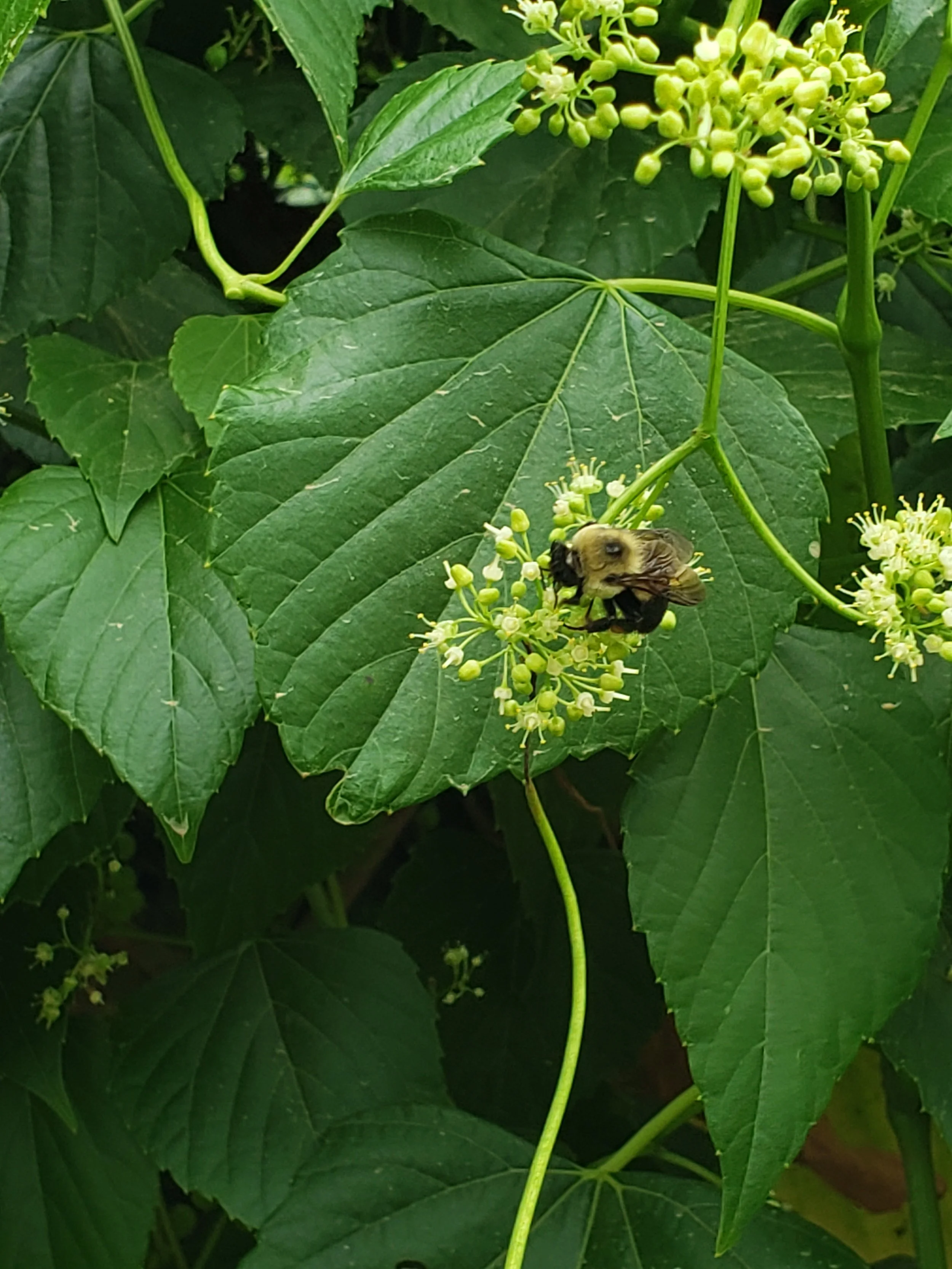 Dinner Specials for Monday