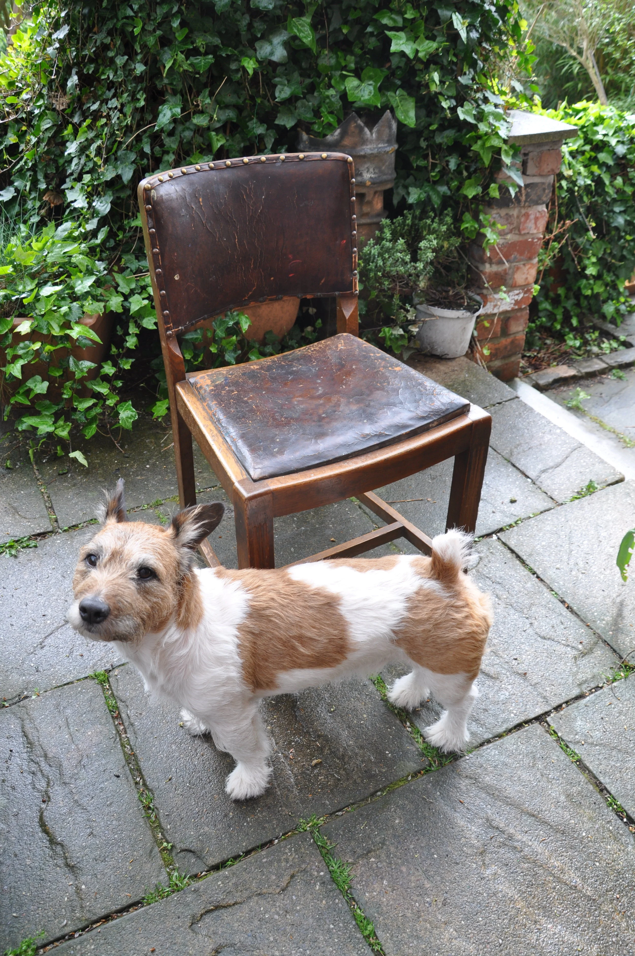 How To Paint A Chair (and Have it All)