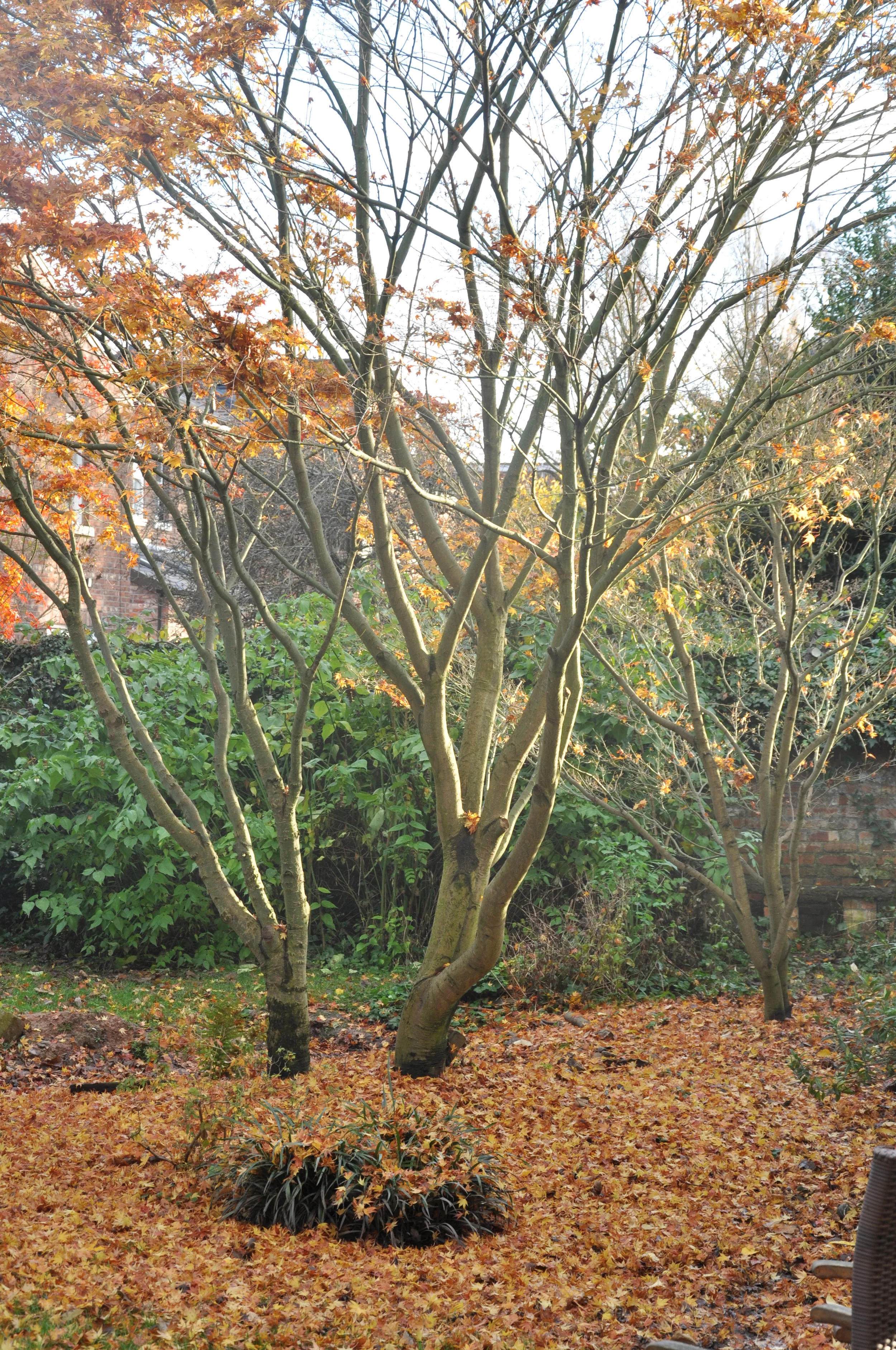 Designing A Southern Hemisphere Home In Northern England