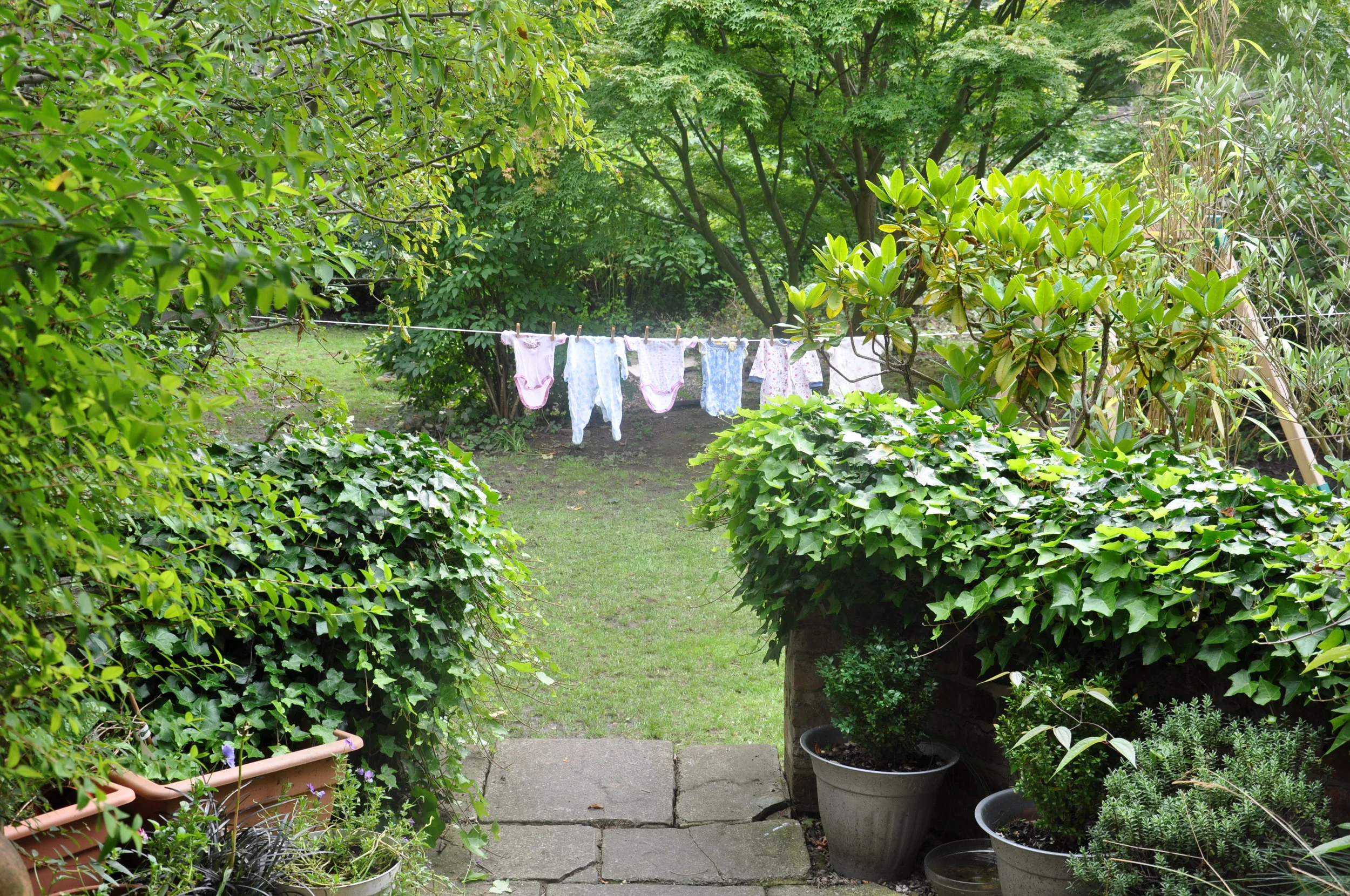 And Then There Were Six