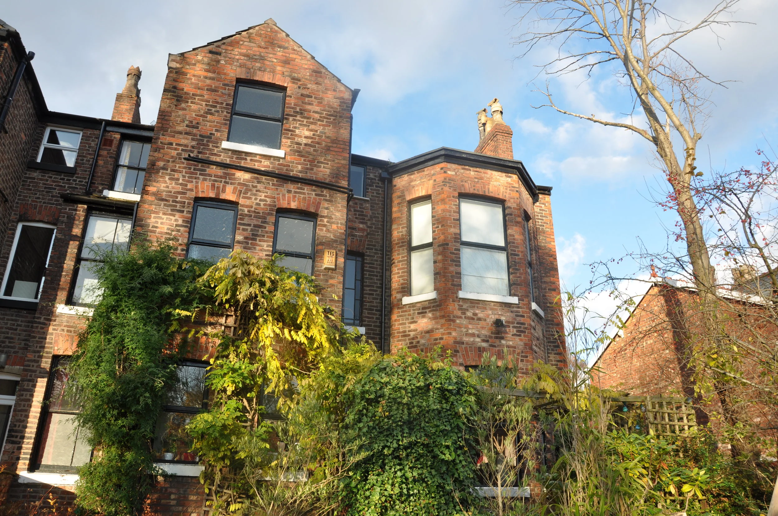 Because Naturally Red Walls Need A Mustard Trim