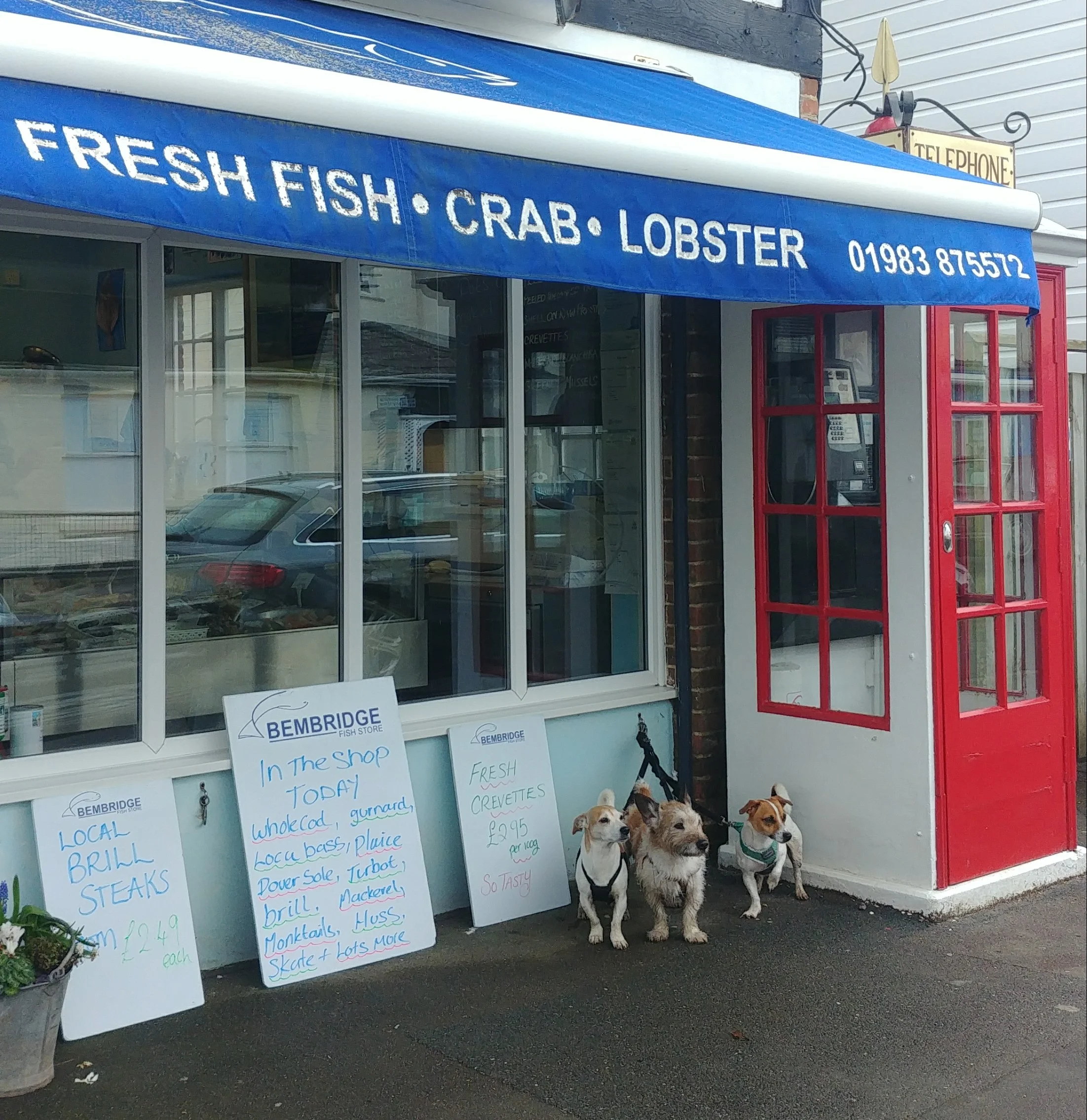 The fishmonger in Bembridge. Top tip - they sell delicious frozen homecooked fish dishes such as haddock chowder and Catalan fish stew, which are brilliant for when you can't be bothered to cook but don't want to eat out. 