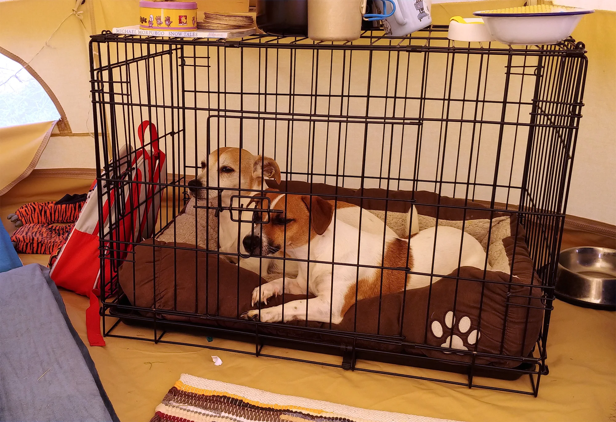 Animals in cages - we’re basically a travelling small-animal circus.