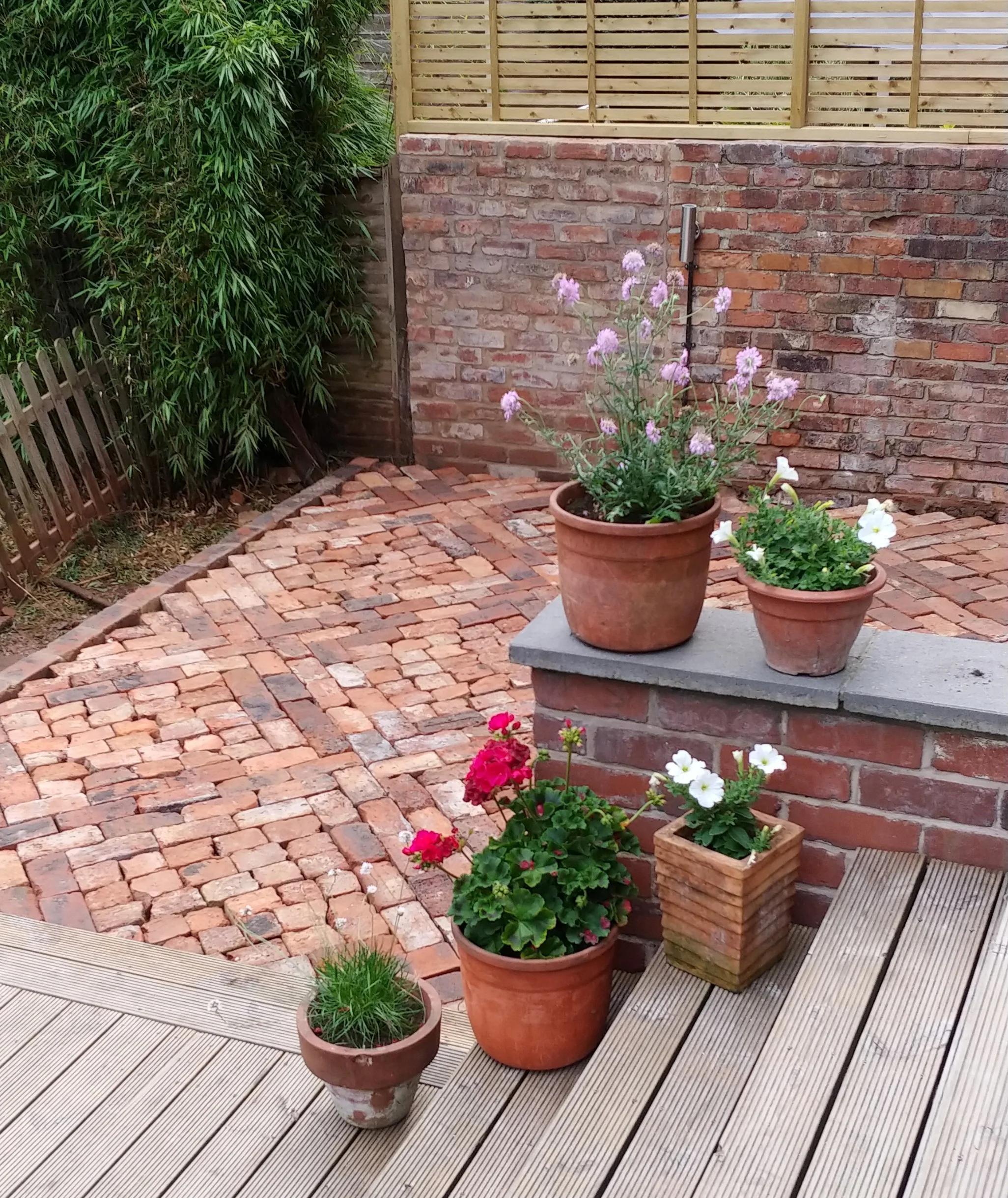 How To Lay A Patio From Reclaimed Bricks — Alice De Araujo