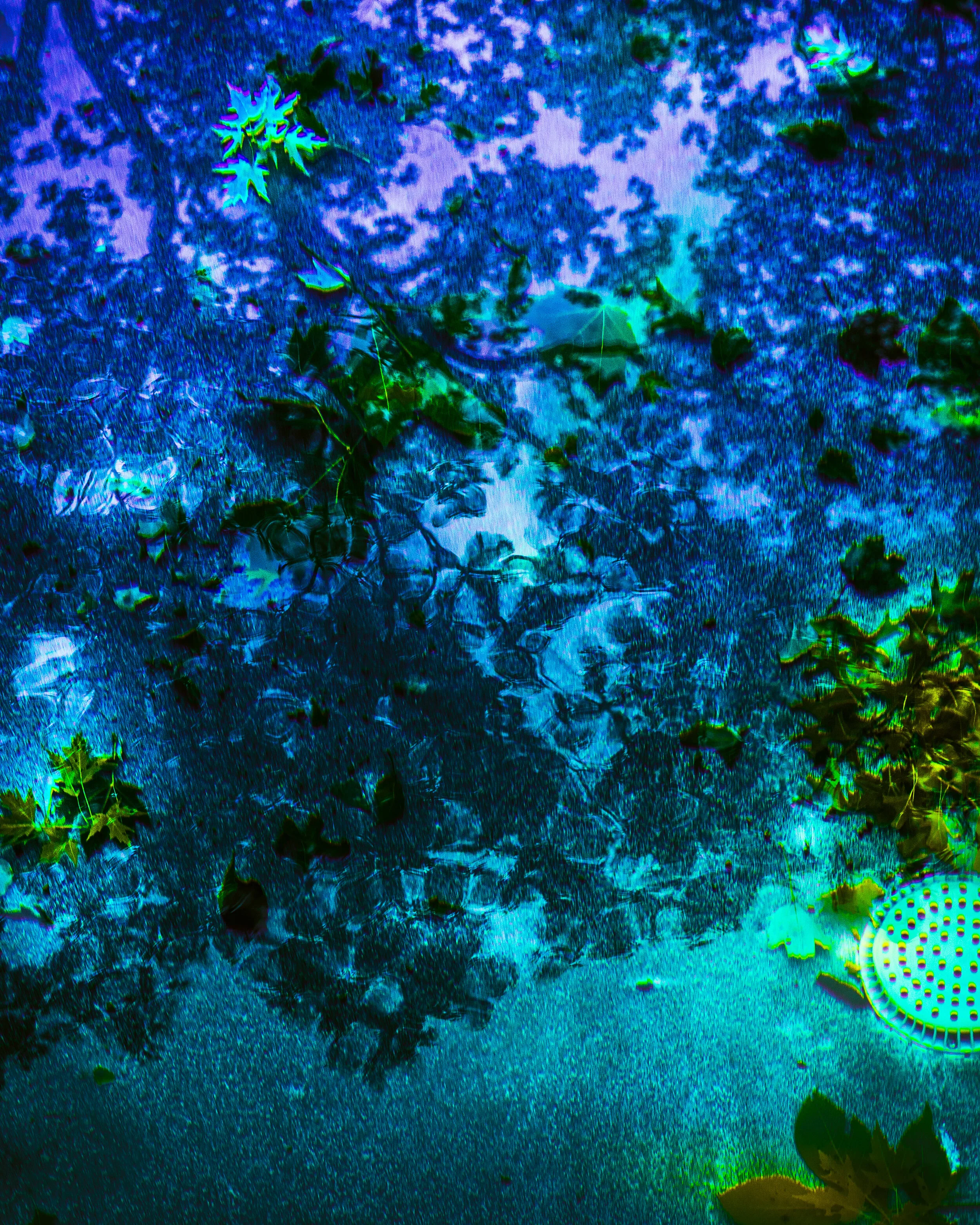 TomiraWilcox_RottenSummer_Summer2020 (1 of 1)-28.jpg