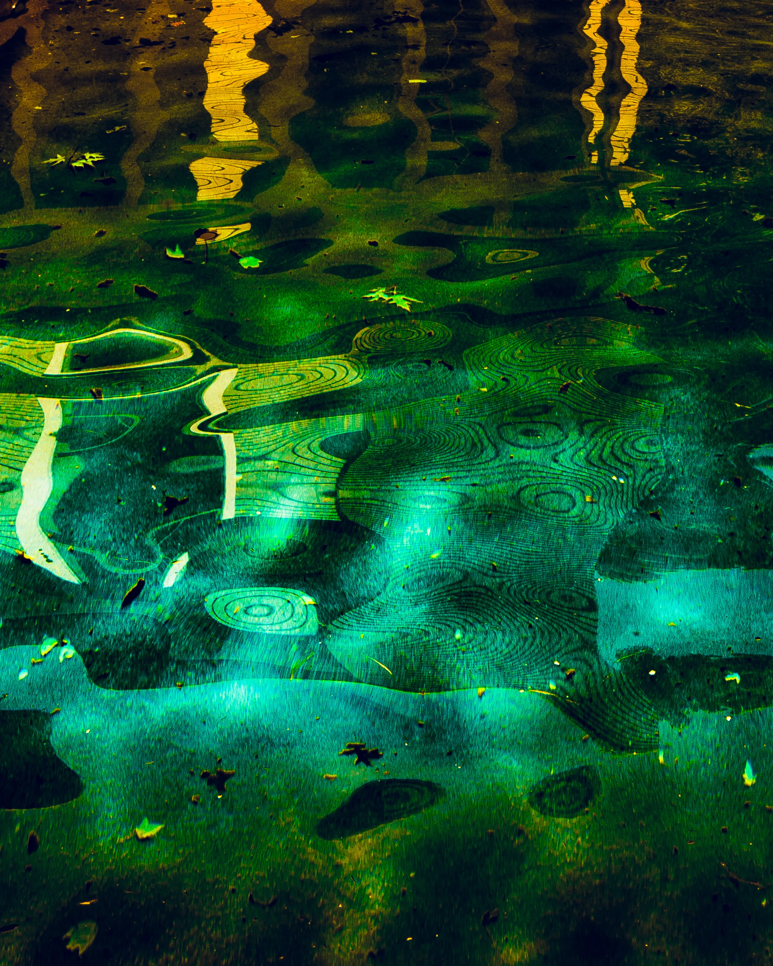 TomiraWilcox_RottenSummer_Summer2020 (1 of 1)-10.jpg