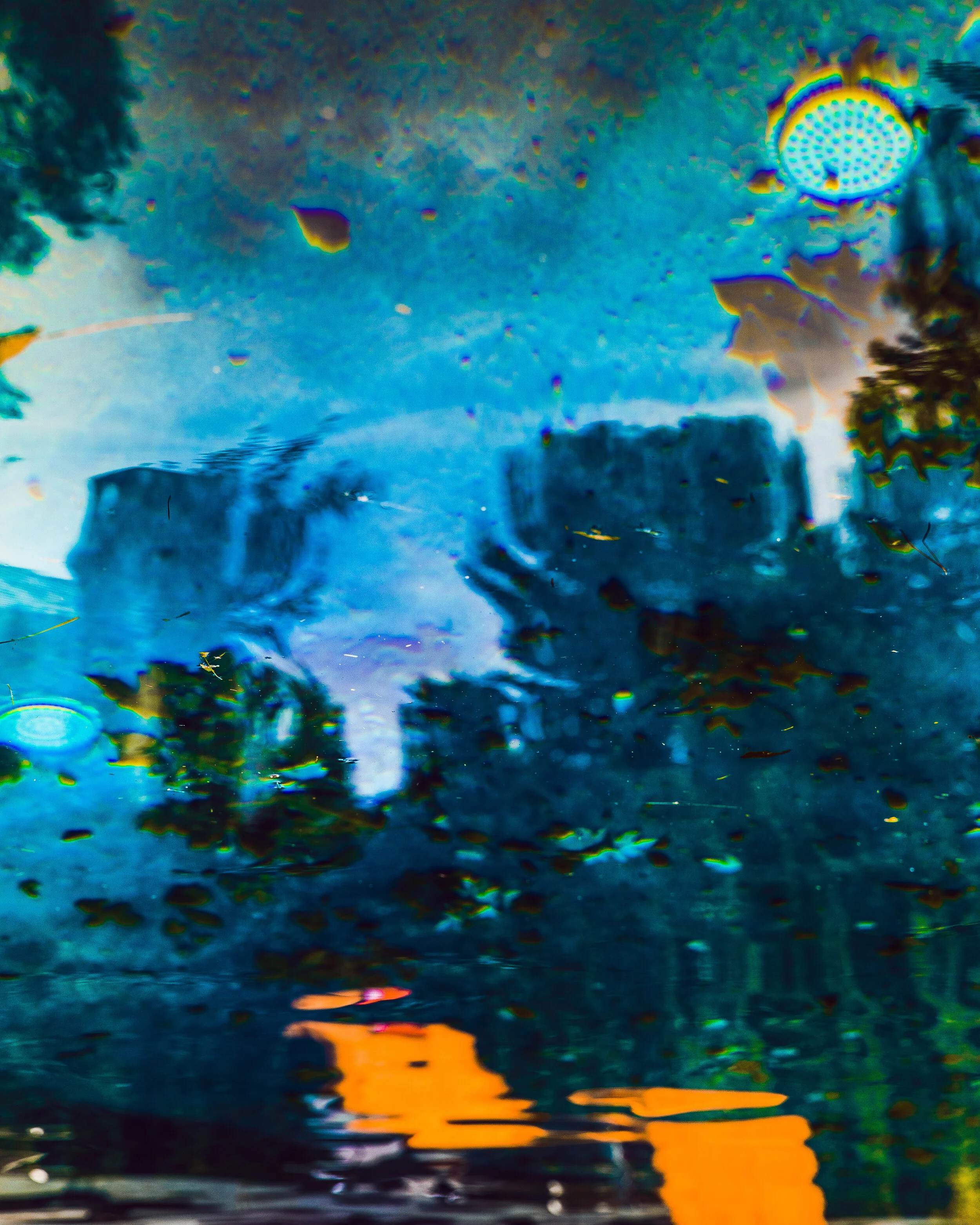 TomiraWilcox_RottenSummer_Summer2020 (1 of 1)-27.jpg