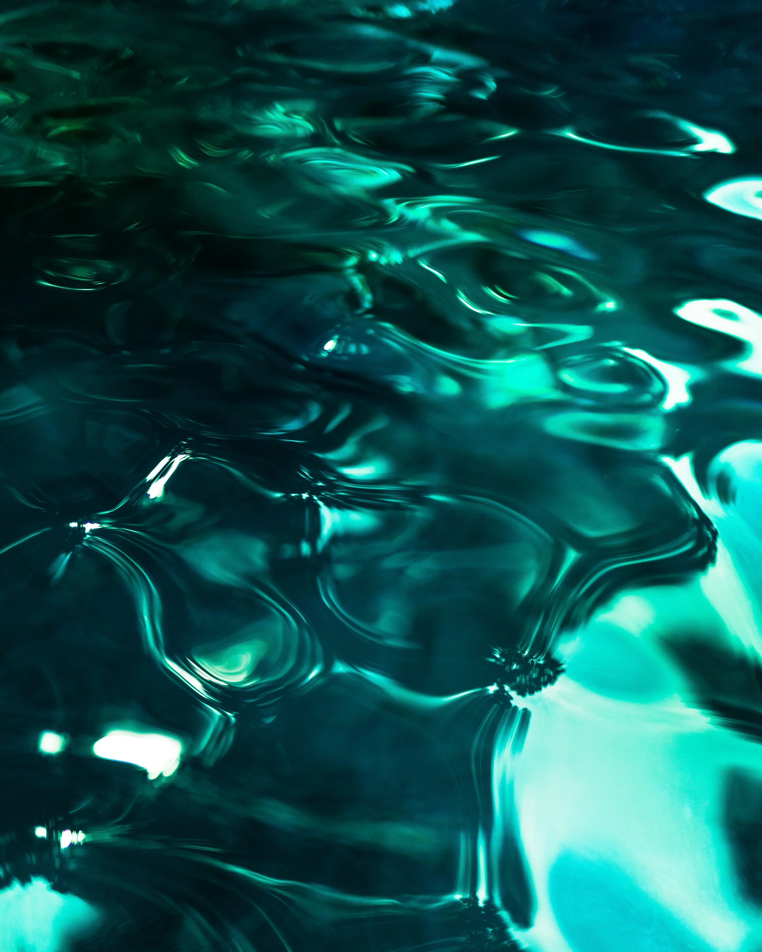 TomiraWilcox_RottenSummer_Solutitude (1 of 1).jpg